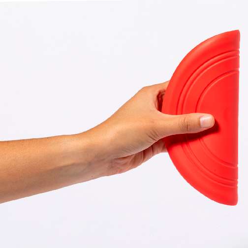 Pet Frisbi Girud - M722033234 - Görsel 6