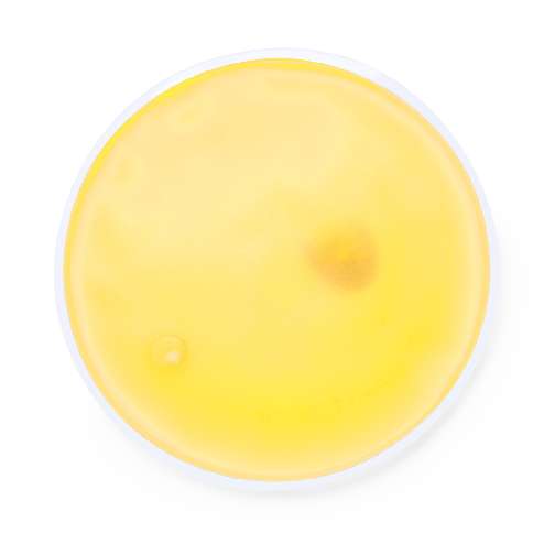 Isıtıcı Cep Sobası - M72497034 - Görsel 4